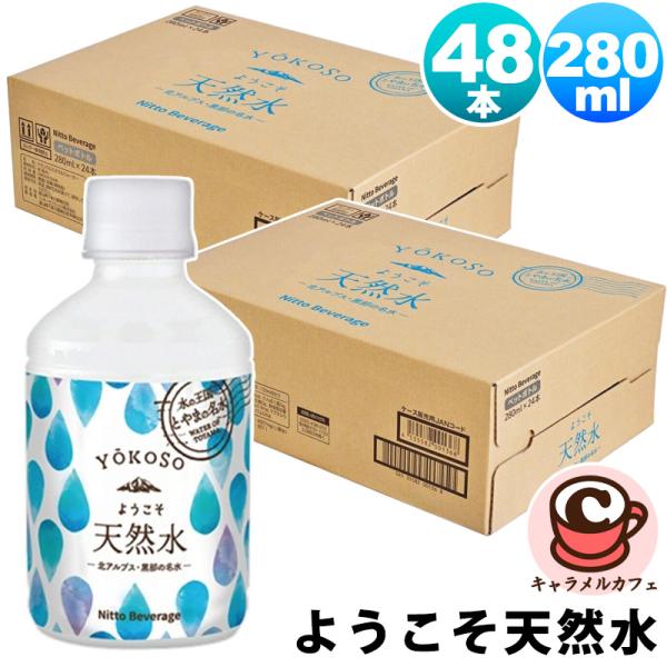 2箱セット ようこそ天然水 280ml 48本 75890 ミネラルウォーター 黒部 天然水 北アル...