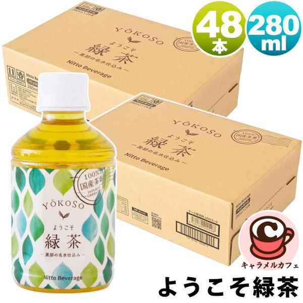 2箱セット ようこそ緑茶 280ml 48本 75890 国産 黒部 名水 北アルプス ペットボトル...