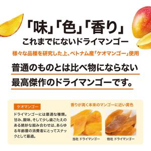 博士のドライマンゴー 480g 81373 果...の詳細画像4