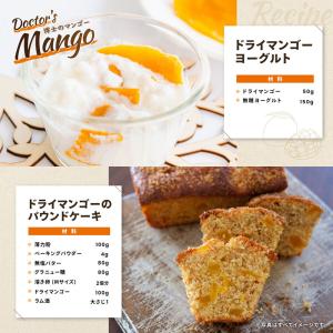 博士のドライマンゴー 480g 81373 果...の詳細画像5