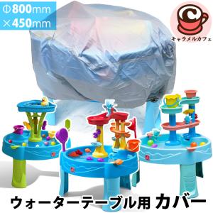 STEP2 ステップ2 ポンプ＆スプラッシュ ディスカバリーポンド 59753