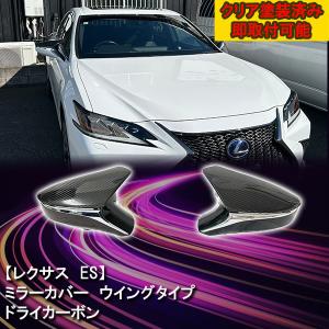 ドライカーボン テールランプパネル レクサス LC500 LC500H LC500