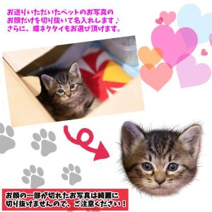 お気に入りの画像で作れる うちのペット♪ フェ...の詳細画像1