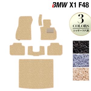 BMW X1 (F48) フロアマット＋トランクマット ラゲッジマット 車 マット カーマット シャギーラグ調 HOTFIELD 光触媒抗菌加工 送料無料｜carboyjapan