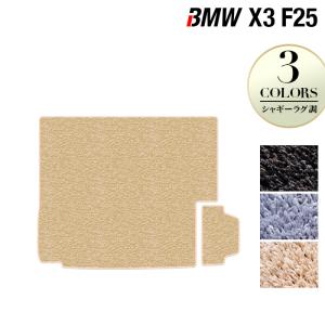 BMW X3 (F25) トランクマット ラゲッジマット 車 マット カーマット シャギーラグ調 HOTFIELD 光触媒抗菌加工 送料無料｜carboyjapan