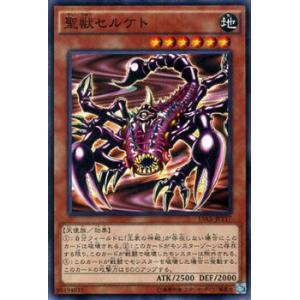 遊戯王オフィシャルカードゲーム デュエルモンスターズ 遊戯王カード