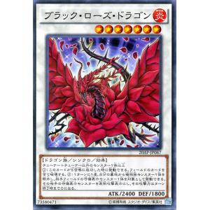 遊戯王オフィシャルカードゲーム デュエルモンスターズ 遊戯王カード
