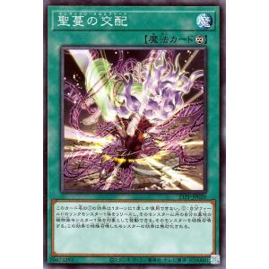 BANDAI（バンダイ） UNION ARENA 【パラレル】UA49BT/MSS-1-065 出雲