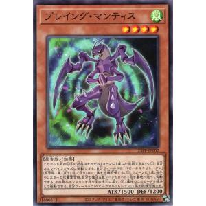 遊戯王オフィシャルカードゲーム デュエルモンスターズ 遊戯王カード