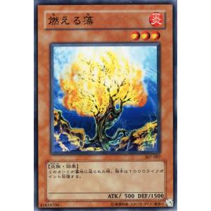 コナミデジタルエンタテインメント 遊戯王カード マイティガード