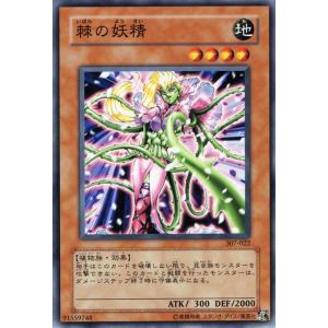 コナミデジタルエンタテインメント 遊戯王カード おジャマッスル