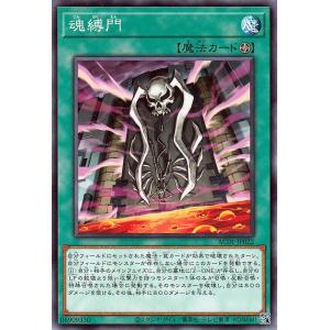 遊戯王オフィシャルカードゲーム デュエルモンスターズ 遊戯王カード