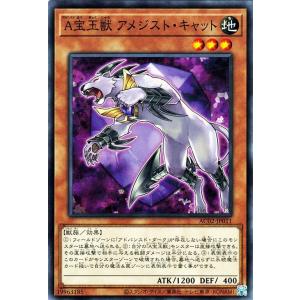 遊戯王オフィシャルカードゲーム デュエルモンスターズ 遊戯王カード