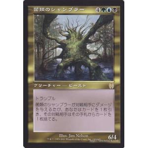 Magic: The Gathering（マジック：ザ・ギャザリング） アナボルバー