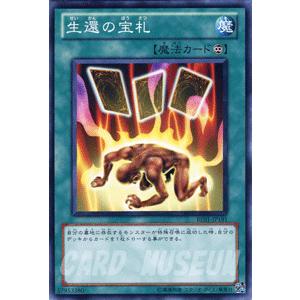 遊戯王オフィシャルカードゲーム デュエルモンスターズ 遊戯王カード