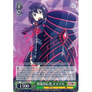 ヴァイスシュヴァルツ 痛いのは嫌なので防御力に極振りしたいと思い