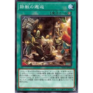 遊戯王オフィシャルカードゲーム デュエルモンスターズ 遊戯王カード