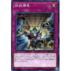 遊戯王オフィシャルカードゲーム デュエルモンスターズ 遊戯王カード
