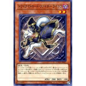 遊戯王オフィシャルカードゲーム デュエルモンスターズ 遊戯王カード