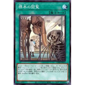 遊戯王オフィシャルカードゲーム デュエルモンスターズ 遊戯王カード