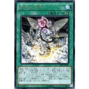 遊戯王オフィシャルカードゲーム デュエルモンスターズ 遊戯王カード