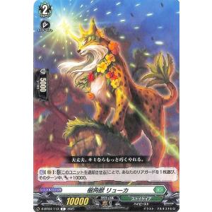 遊戯王オフィシャルカードゲーム デュエルモンスターズ 遊戯王カード