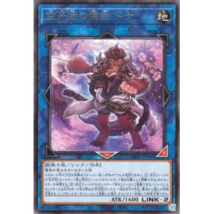 遊戯王オフィシャルカードゲーム デュエルモンスターズ 遊戯王カード