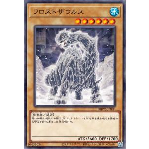 遊戯王オフィシャルカードゲーム デュエルモンスターズ 遊戯王カード