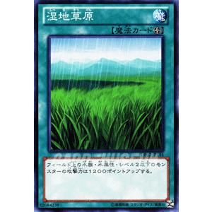 遊戯王カード 湿地草原 / デュエリスト・エディションVol.2（DE02） / シングルカード｜card-museum