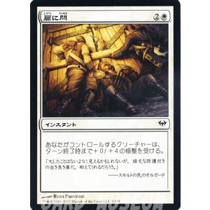 Magic: The Gathering マジック・ザ・ギャザリング 森での迷子