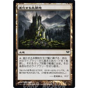 マジック ザ ギャザリング 進化する未開地 闇の隆盛 日本語版 シングルカード Dka 155 C カードミュージアム Yahoo 店 通販 Yahoo ショッピング