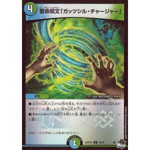 デュエル・マスターズ “魔神轟怒”ブランド MAS火 EX19 M34/M40