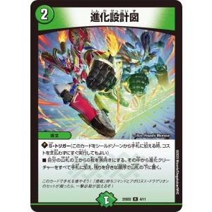 デュエルマスターズ 進化設計図(レア) 力の王道（DM25-SD2） | デュエマ  自然文明 呪文