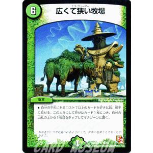 デュエル・マスターズ 広くて狭い牧場/DMR06/ビクトリー・ラッシュ