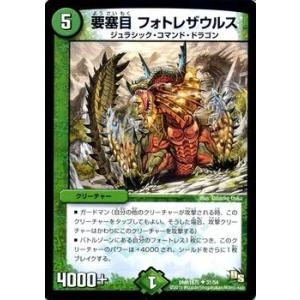 デュエル・マスターズ 記憶の精霊龍 ソウルガルド/DMR16真/超戦ガイ