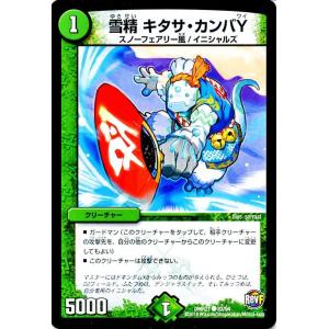 ジャスミンの地版(20thレア)(20A・20)/自然 デュエルマスターズ