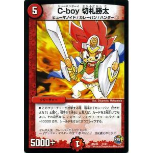 デュエル・マスターズ ファイナルメモリアル 遊びだよ！切札一家なう