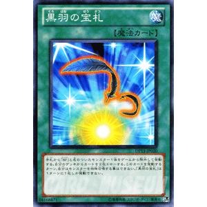 遊戯王オフィシャルカードゲーム デュエルモンスターズ 遊戯王カード
