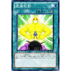 遊戯王オフィシャルカードゲーム デュエルモンスターズ 遊戯王カード