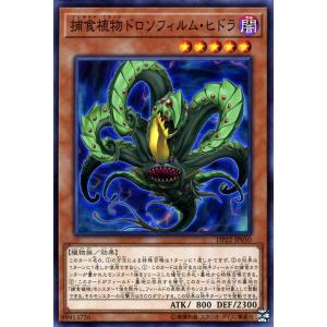 遊戯王 デュエリストパック レジェンドデュエリスト編5 シニスターネクロム Amazon.co.jp: 遊戯王カード DP22-JP014 E-HERO シニスター・ネクロム