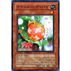 遊戯王カード ナチュル・レディバグ / ジェネクスの進撃！！（DT07） / シングルカード｜card-museum