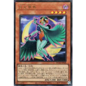 遊戯王オフィシャルカードゲーム デュエルモンスターズ 遊戯王カード