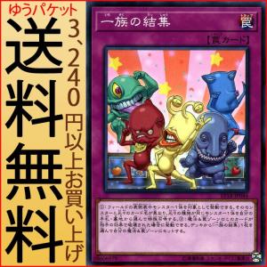 遊戯王オフィシャルカードゲーム デュエルモンスターズ 遊戯王カード