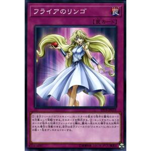 遊戯王オフィシャルカードゲーム デュエルモンスターズ 遊戯王カード