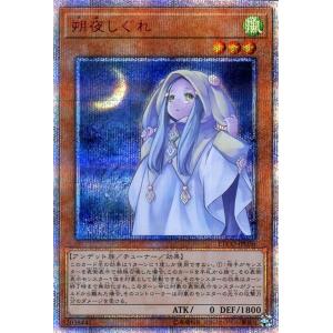 遊戯王オフィシャルカードゲーム デュエルモンスターズ 遊戯王カード