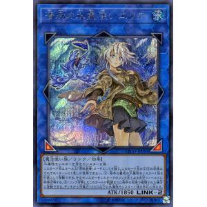 遊戯王オフィシャルカードゲーム デュエルモンスターズ 遊戯王カード