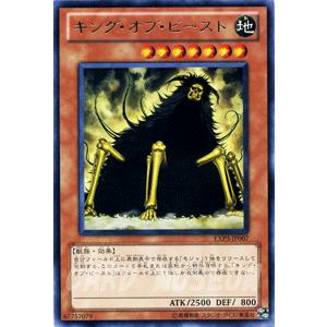 遊戯王オフィシャルカードゲーム デュエルモンスターズ 遊戯王カード 