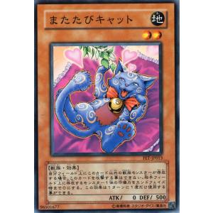 コナミデジタルエンタテインメント 遊戯王カード マイティガード