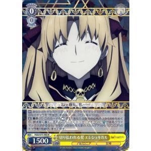ヴァイスシュヴァルツ Fate/Grand Order -絶対魔獣戦線 ヴァイスシュヴァルツ Fate/Grand Order -絶対魔獣戦線