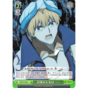 ヴァイスシュヴァルツ Fate/Grand Order -絶対魔獣戦線バビロニア